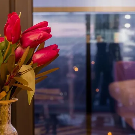 Apartment E&a Royal Luxury Apartments, - Skyline *